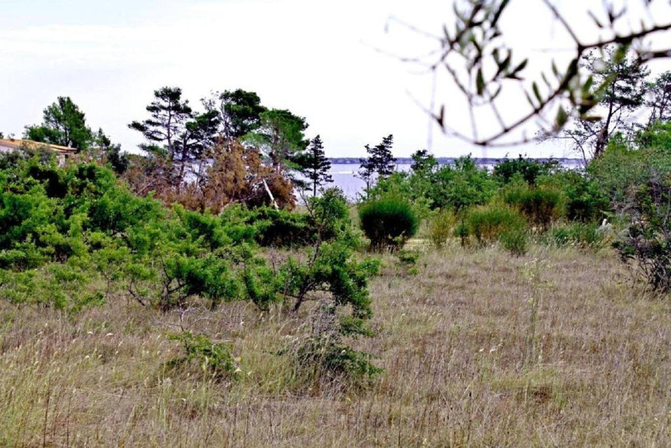Snjeza - 80 M From Apartment *